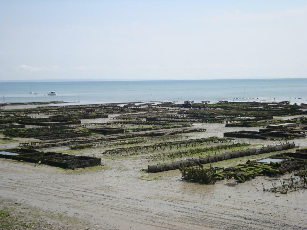 Petit coin de Paradis Appartement Cancale Buitenkant foto